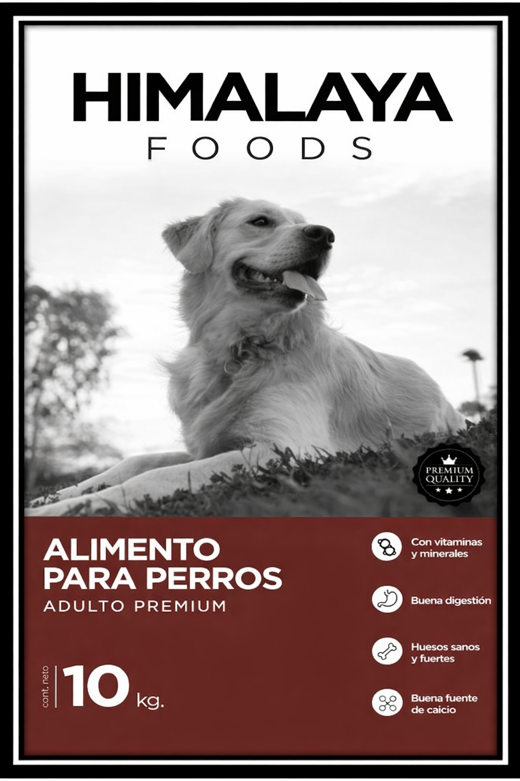 ALIMENTO PERRO PREMUIN ADULTO 10 KG